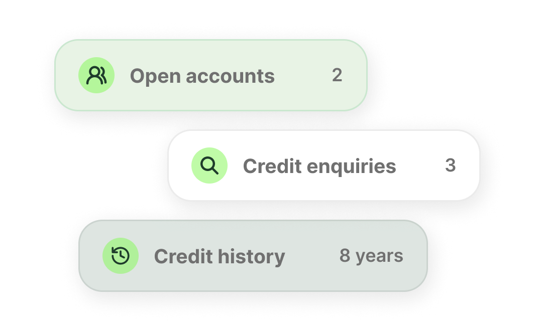Credit report overview